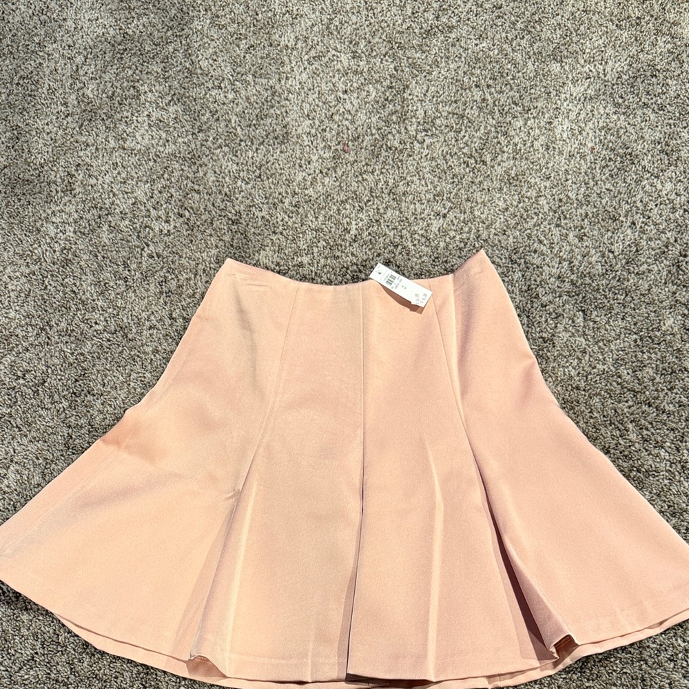 Ann Taylor Blush A-Line Skirt